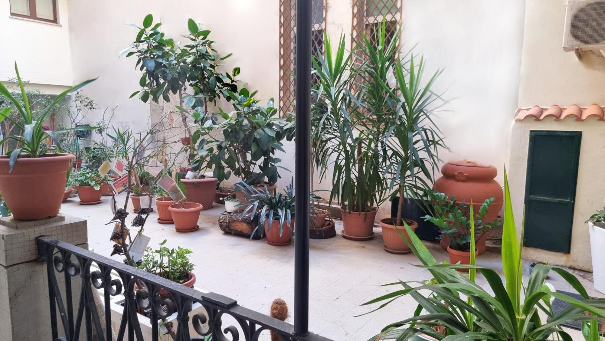 Ferienwohnung Loft Magna Grecia Reggio Calabria Centro Storico A 3 Minuti A Piedi Dal Mare Exterior foto